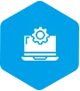 Pre-sales Technical Support